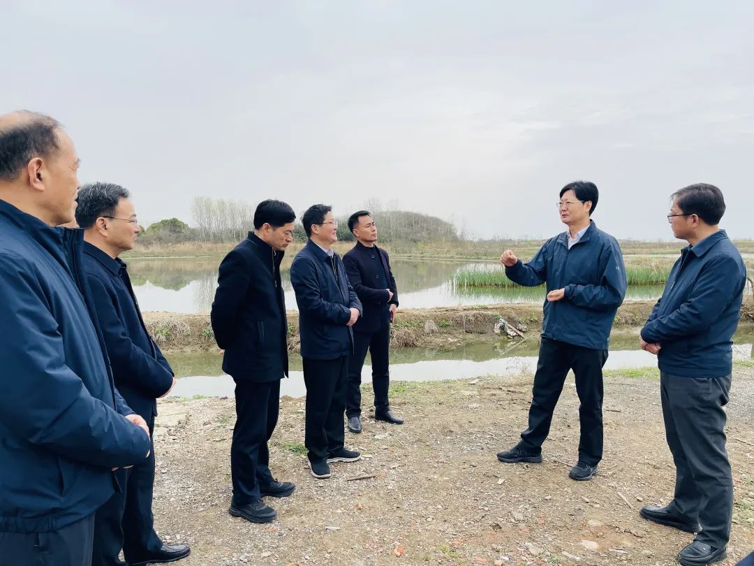 合肥市人大常委会来巢调研环境状况和环境保护目标完成情况